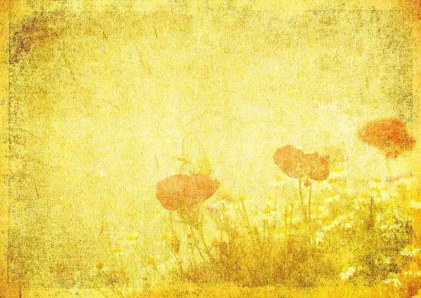 istock grunge floral background with space for text or image 155260503