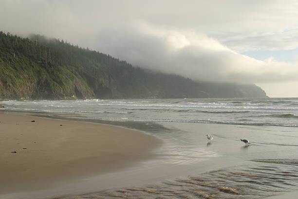 Cape Lookout - Photo