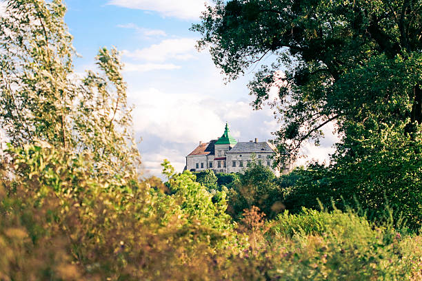 istock Olesko Castle - 14th century. Ukraine. 155260863