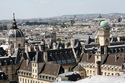 A high view of the Sorbonne, with the rooftops of Paris in the background.  