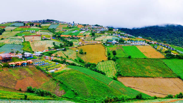 istock Phu tub berk at phetchabun 1552614547