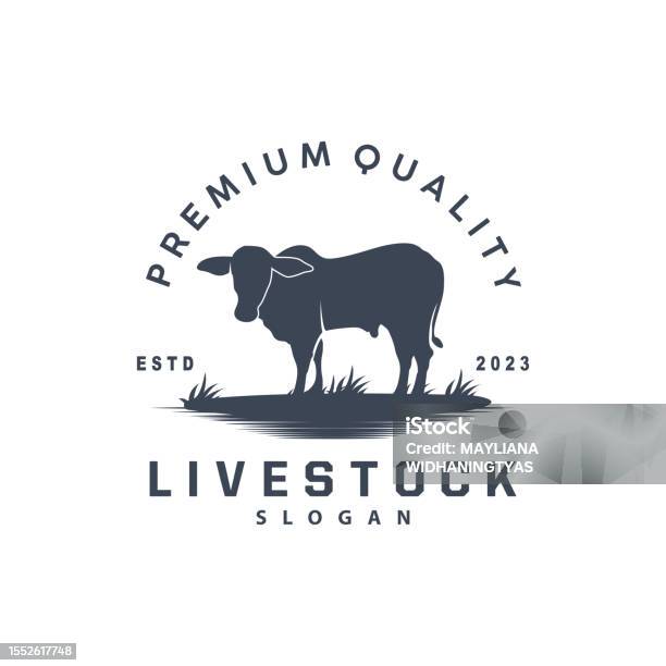 Simbol Sapi Simbol Ternak Desain Taman Fram Simbol Sapi Lencana Vektor Longhorn ...