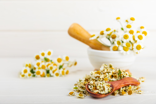 Dried chamomile tea on texture table.dry chamomile. Chamomile tea. flat lay. Composition with a bouquet and chamomile inflorescences in a mortar. Herbal drink. Soothing and tonic tea. copy space.