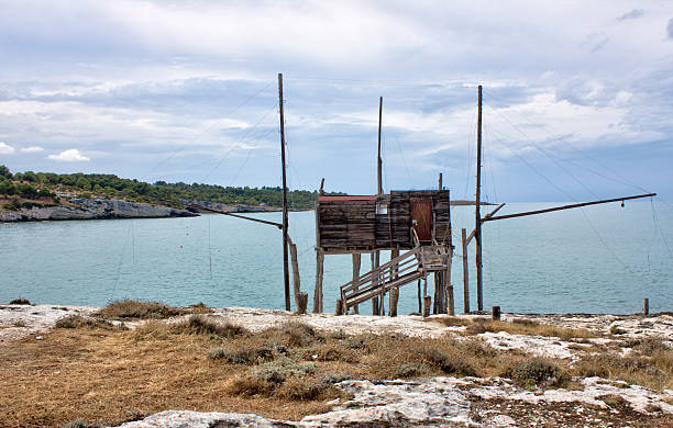 istock Panorama of Vieste (Italy) - Vieste's landscape 155264658