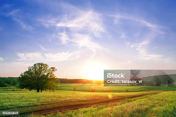 Bei Sonnenuntergang Stockfoto und mehr Bilder von Agrarbetrieb - Agrarbetrieb, Baum, Blau