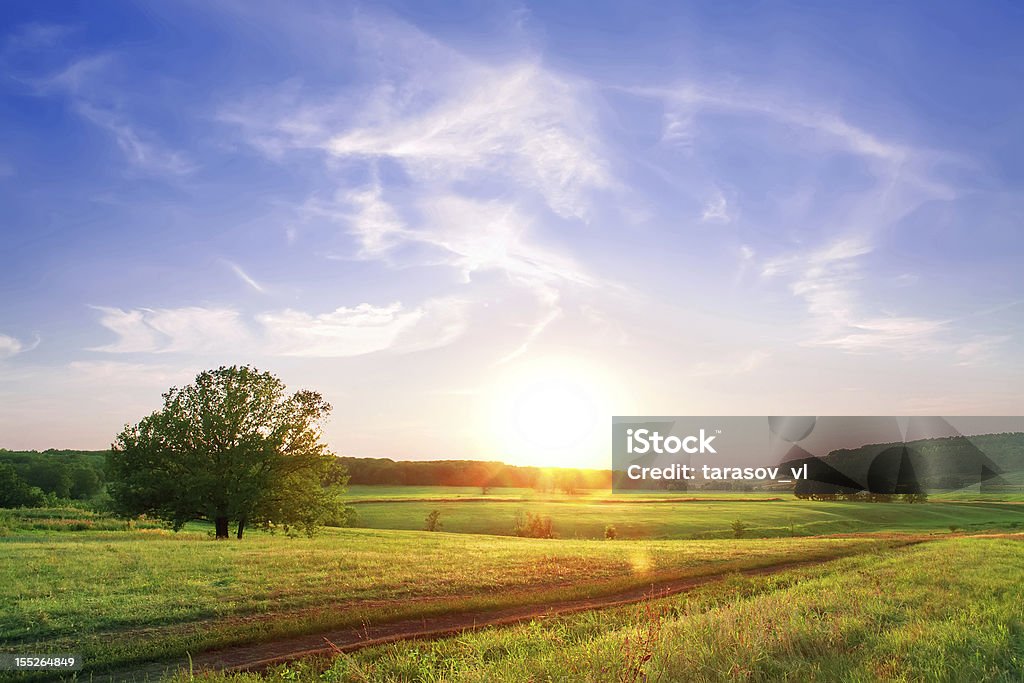 Coucher du soleil - Photo de Agriculture libre de droits