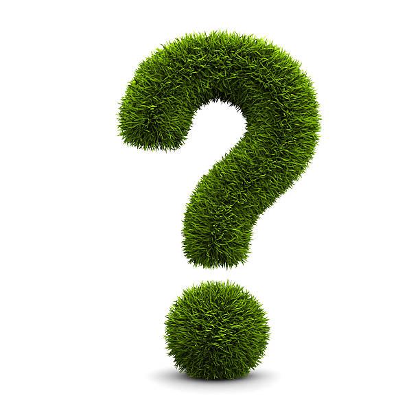 Question mark created out of green grass stock photo