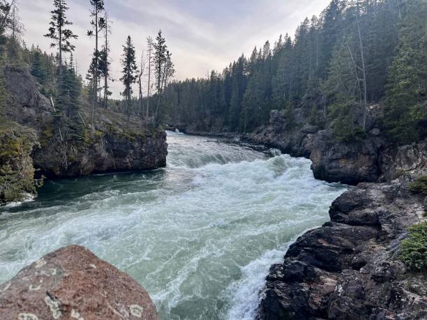 istock Grand Canyon of Yellowstone 1552656580