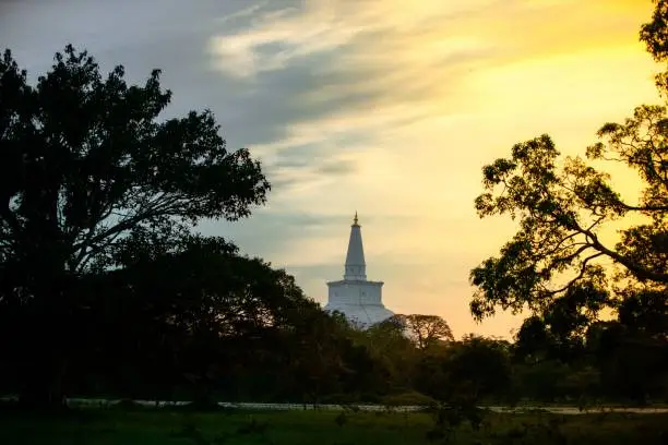 Photo of Ruwanweli Maha Seya pagoda standing tall amongst a tree-covered landscape.