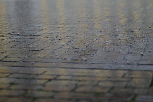 Rain on pavement as a close-up