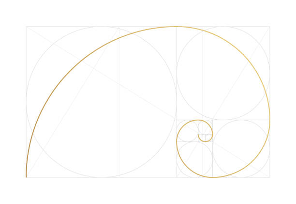 ilustraciones, imágenes clip art, dibujos animados e iconos de stock de plantilla de diseño de proporción áurea. figura geométrica en ley de proporción áurea. espiral dorada, sección áurea, matriz de fibonacci, números de fibonacci. ilustración vectorial - correlation