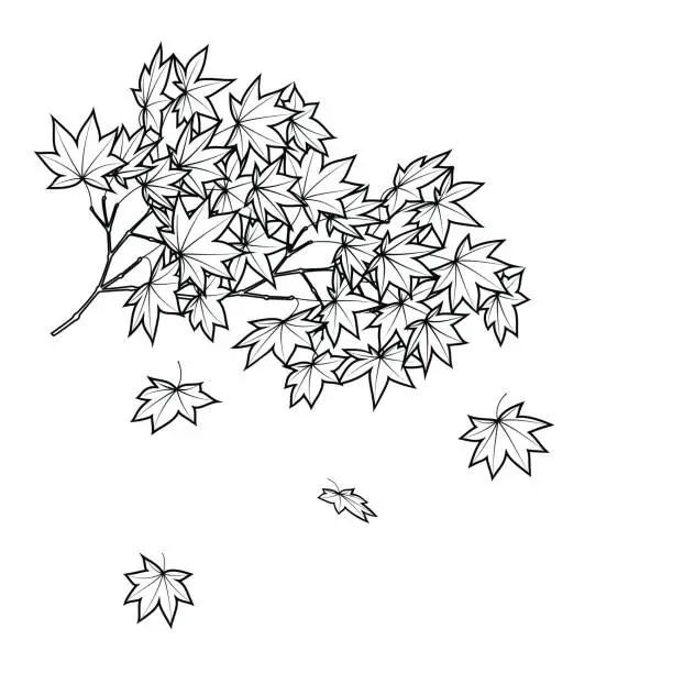Vector illustration of Black And White, Autumn leaves falling