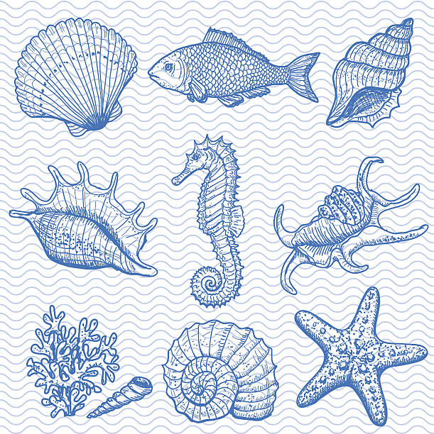 海のコレクションです。オリジナルの手描きイラスト - starfish wave点のイラスト素材／クリップアート素材／マンガ素材／アイコン素材