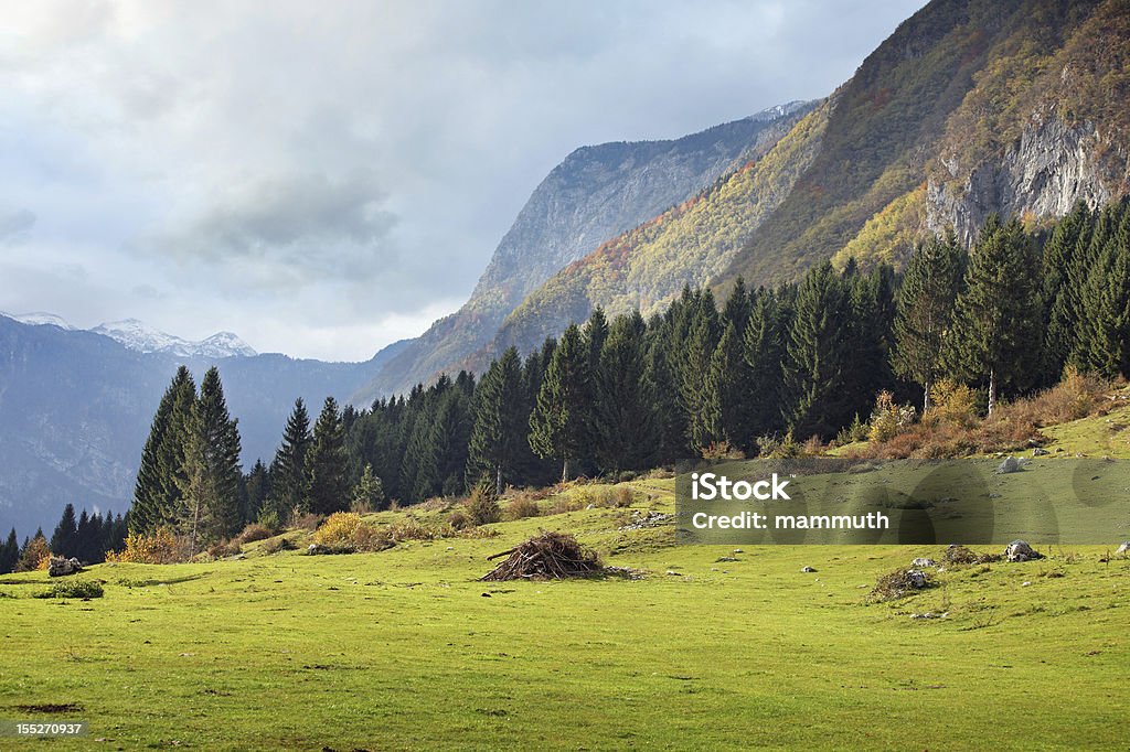 autumn in the mountains autumn mountain scene with pine trees. Triglav, Julian Alps, Slovenia Autumn Stock Photo