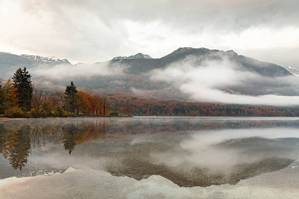 istock foggy mountain lake at dawn with pine forest 155270949