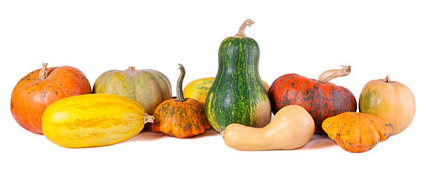 istock Autumn still-life with pumpkins 155271541