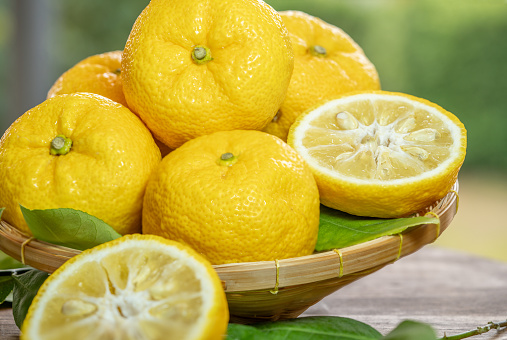 Kochi Yellow Yuzu over green natural Blur background, Yuzu Orange fruit in wooden basket over blur greenery background.