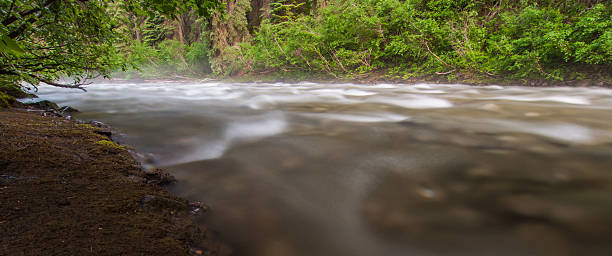 Misty Flowing Creek stock photo