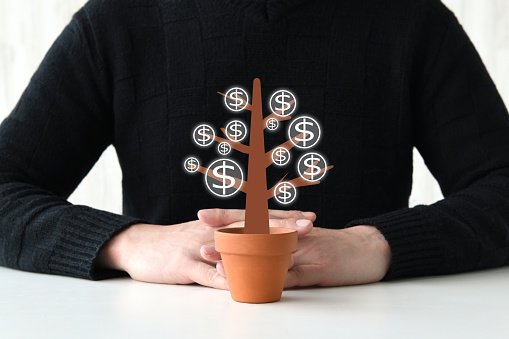 Male investor and potted tree with dollar mark