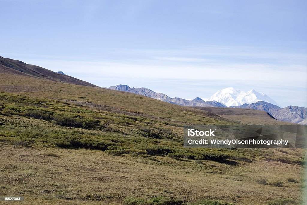 Parque nacional Denali - Foto de stock de Aire libre libre de derechos