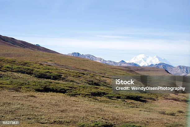 Parque Nacional Denali Foto de stock y más banco de imágenes de Aire libre - Aire libre, Aislado, Alaska - Estado de los EE. UU.