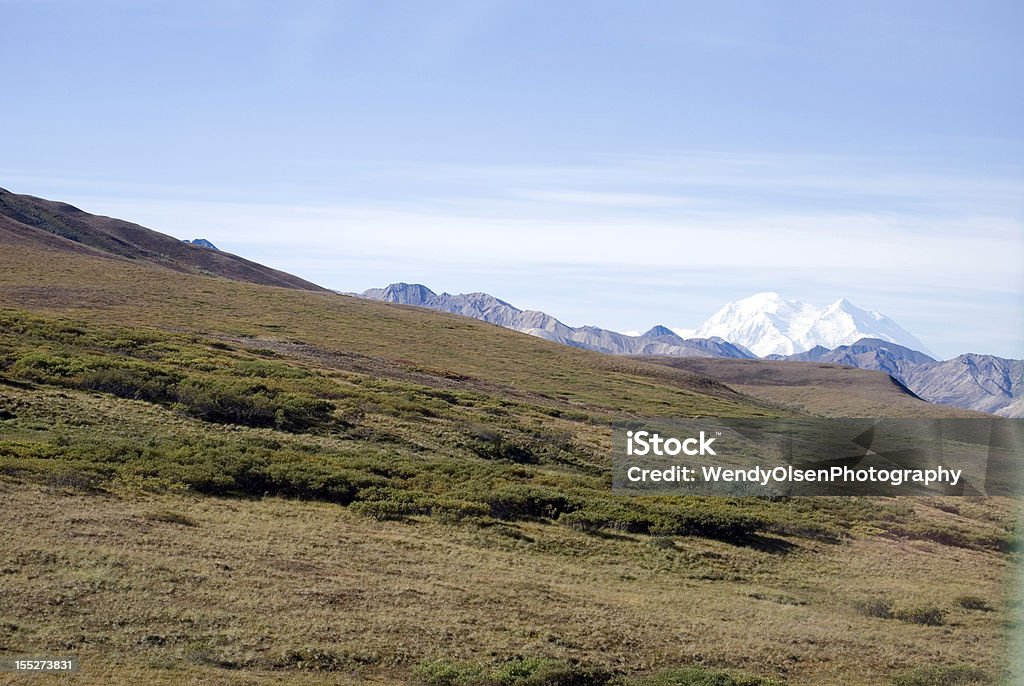 Parco Nazionale di Denali - Foto stock royalty-free di Alaska - Stato USA