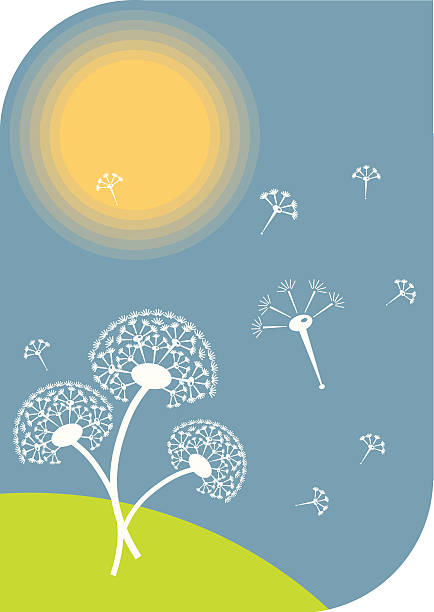 dandelions en un día soleado - ilustración de arte vectorial