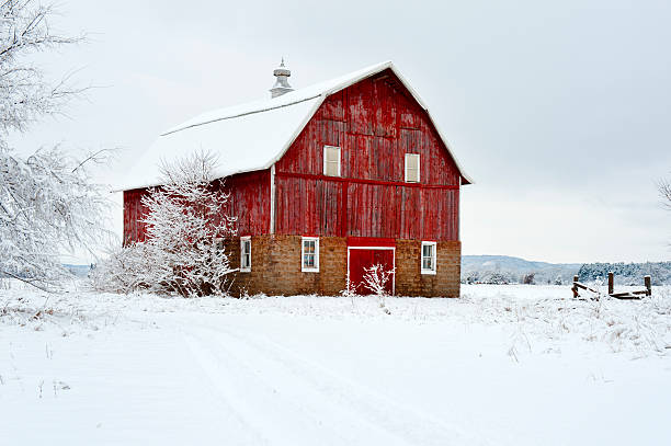 Red Barn in Winter stock photo