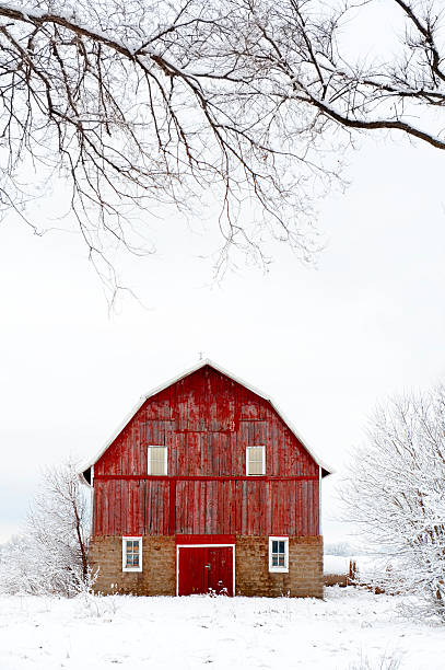 Red barn in snowy field during winter stock photo