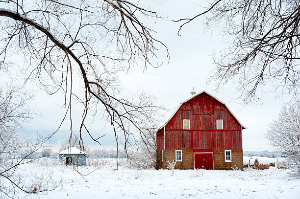 Red Barn in Winter stock photo