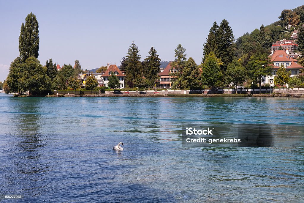 Casas os bancos suíços ao longo do Rio Aare - Royalty-free Lago Thun Foto de stock