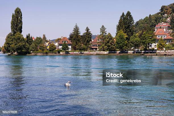 Casas Os Bancos Suíços Ao Longo Do Rio Aare - Fotografias de stock e mais imagens de Lago Thun - Lago Thun, Ao Ar Livre, Arquitetura