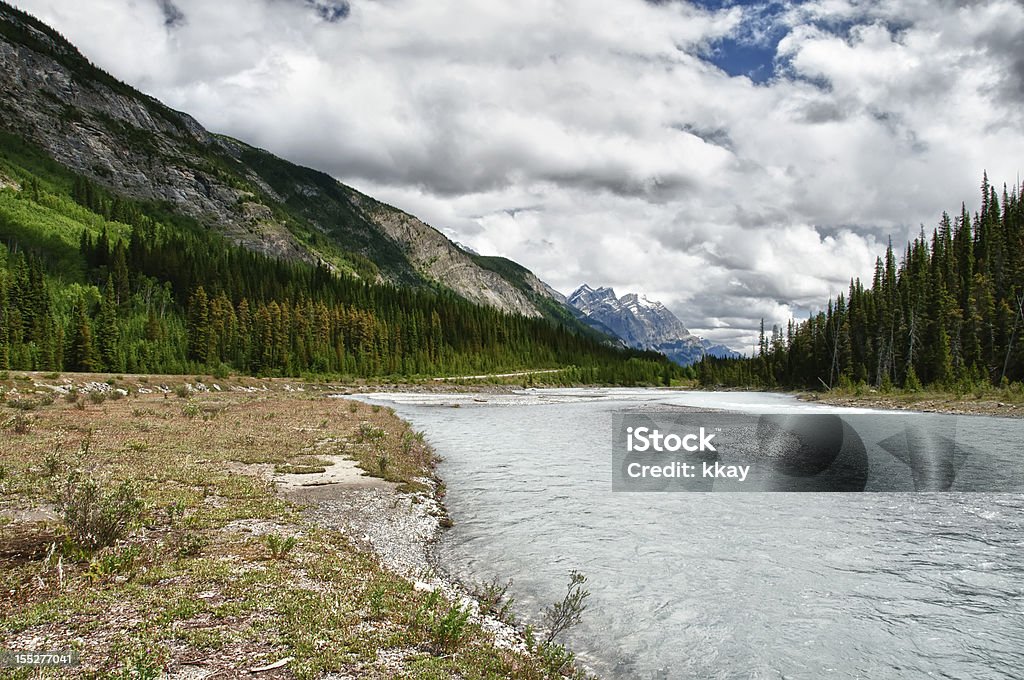Rivière Bow Banff - Photo de Alberta libre de droits