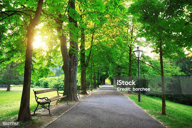 Sunrise In A Green Park Stock Photo - Download Image Now - Public Park, Footpath, Park Bench