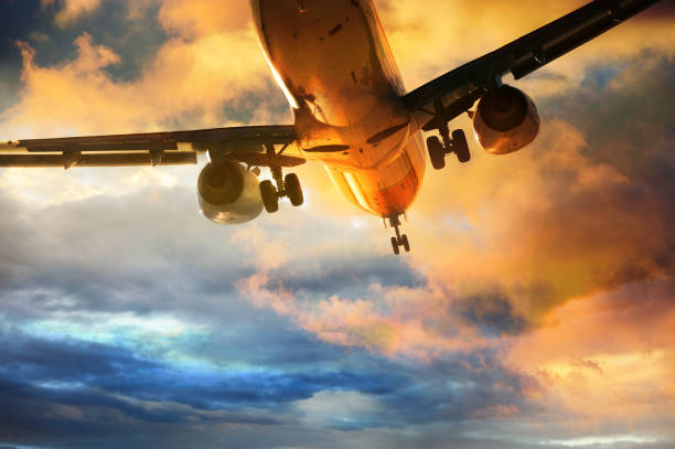 Airplane landing in the evening