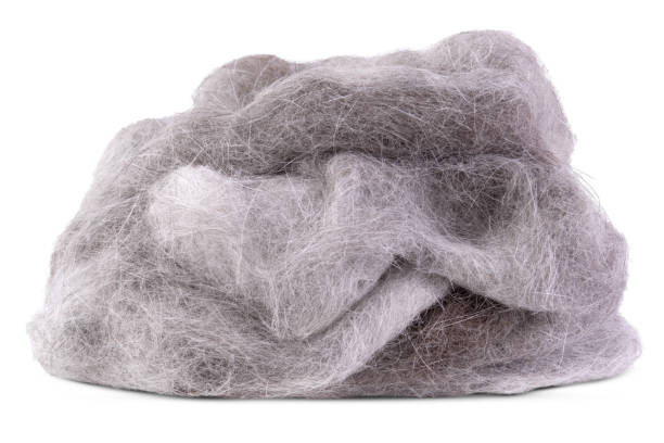istock A clump of cat fur isolated on a white background. 1552772981