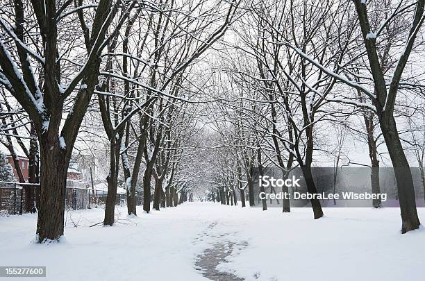 La Magia Della Neve - Fotografie stock e altre immagini di Albero - Albero, Albero spoglio, Ambientazione esterna