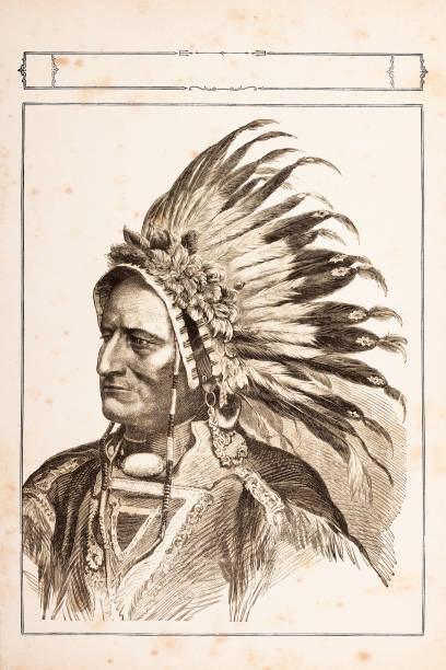 ilustraciones, imágenes clip art, dibujos animados e iconos de stock de grabado of native tribal americana jefe sioux toro sentado 1881 - chief sitting bull