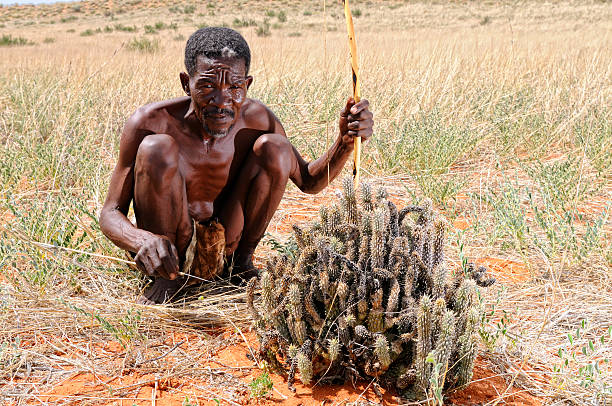 kalahari bushman z hoodia krajobraz zakładu - kalahari gemsbok national park zdjęcia i obrazy z banku zdjęć