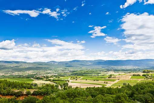 Rural landscape of Chianti, Florence province Tuscany, Italy, at summer