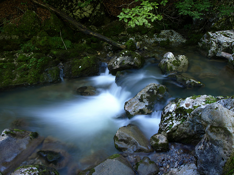 Deep forest stream in Risnjak National Park, Gorski Kotar, Croatia (long exposure with blurred motion).