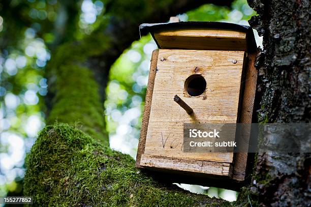 Birdbox 나무에 대한 스톡 사진 및 기타 이미지 - 나무, 동물 둥지, 목재-재료