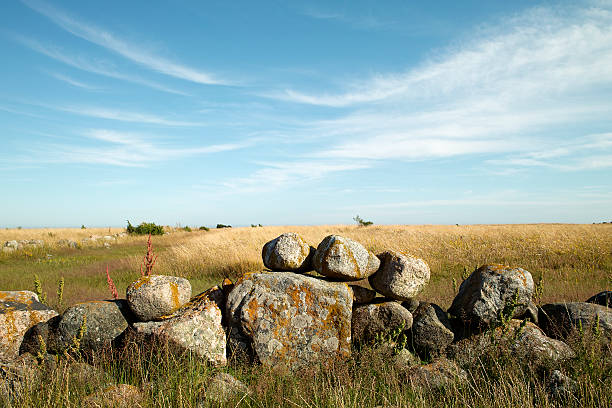 old stone wall  gotland stock pictures, royalty-free photos & images