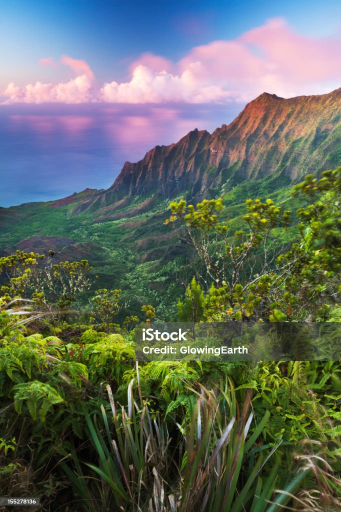 Vallée de Kalalau au crépuscule - Photo de Îles Hawaï libre de droits