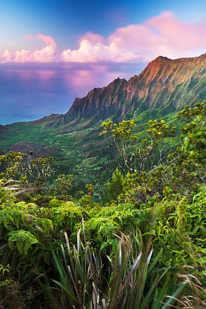 vallée de kalalau au crépuscule - hawaii islands mountain kauai sea photos et images de collection
