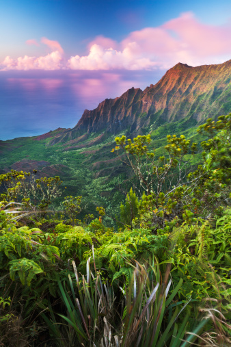 View of the Kalalau Valley and Na Pali Coast from Koke'e State Park on the island of Kauai, Hawaii, USA.