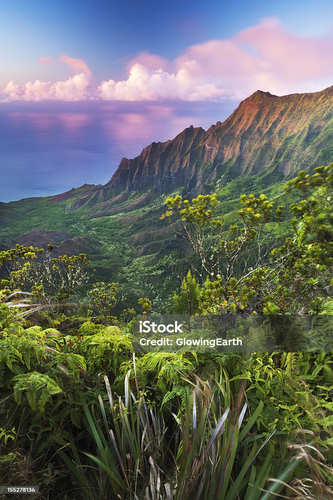 Kalalau Долина в сумерки - Стоковые фото Гавайские острова роялти-фри