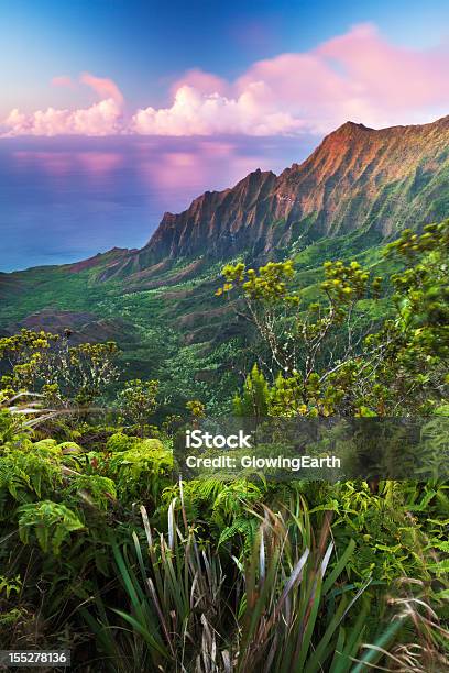 Kalalau Долина В Сумерки — стоковые фотографии и другие картинки Гавайские острова - Гавайские острова, Кауаи, Парк штата Напали Кост
