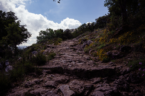 Man trail running in the forest