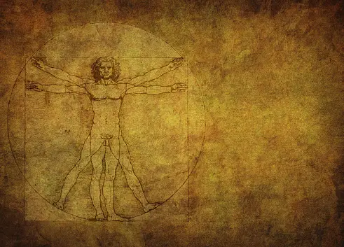Vitruvian Man Pictures | Download Free Images on Unsplash